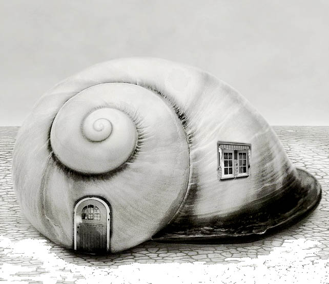 maison harmonieuse escargot